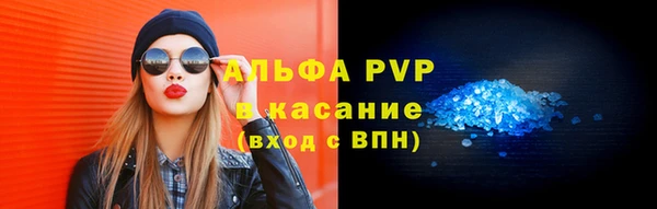 индика Белоозёрский