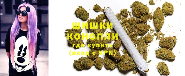 дживик Строитель